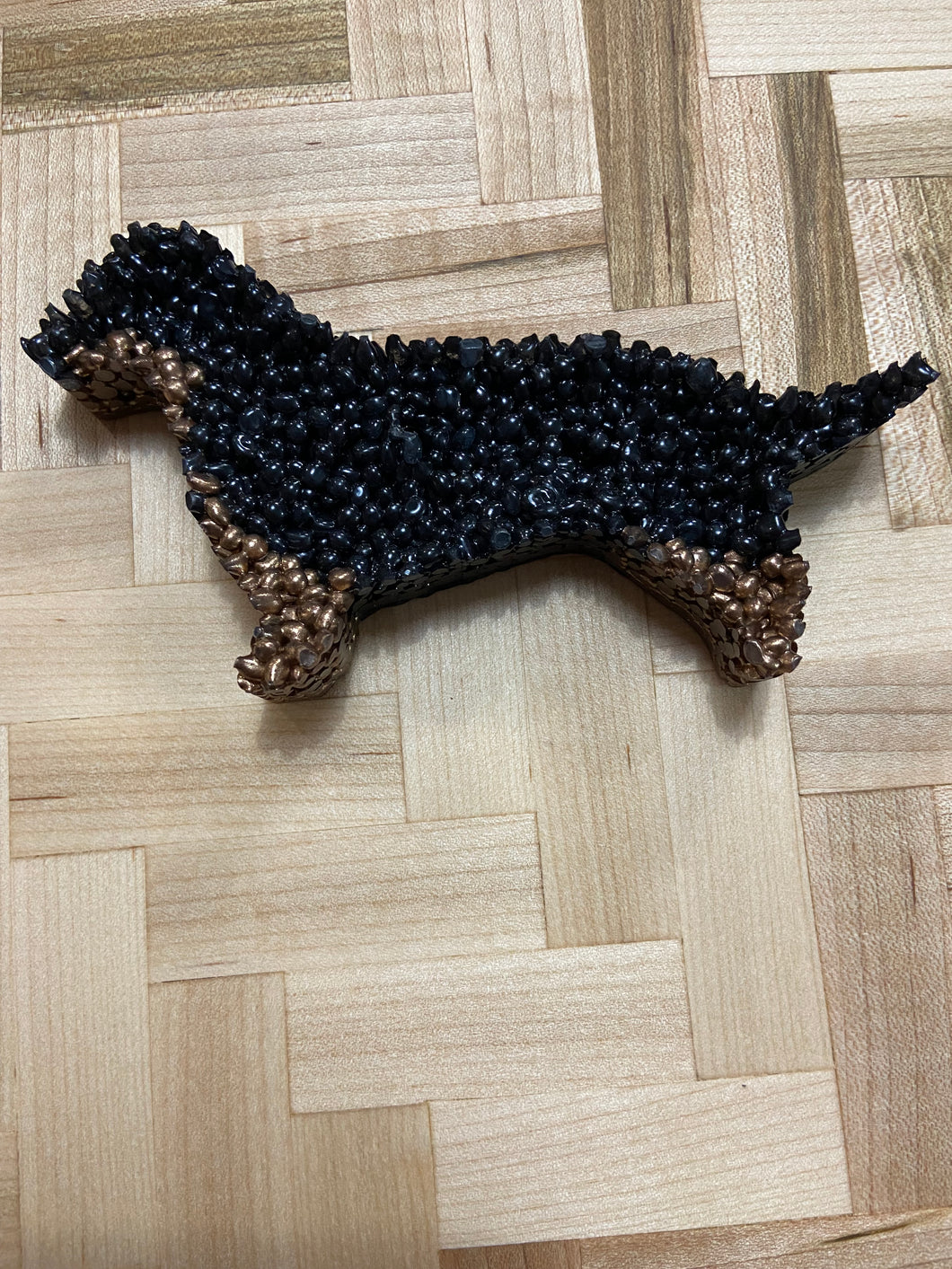Dachshund