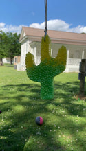 Load image into Gallery viewer, Cactus
