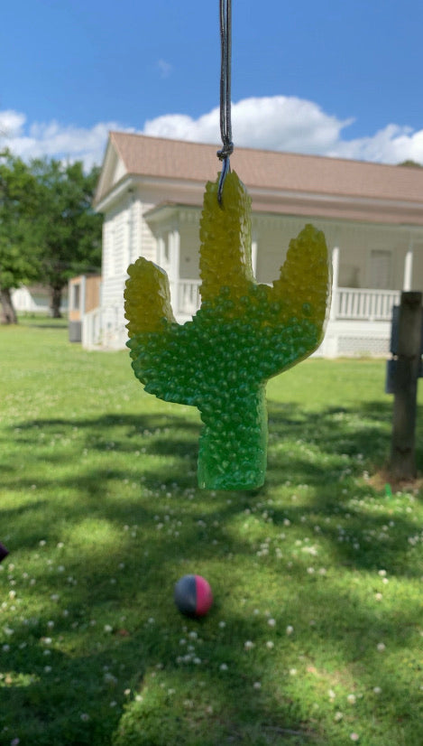 Cactus